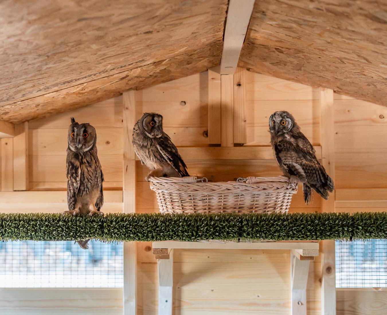 Sustainability environment initiative | Tatoi Club