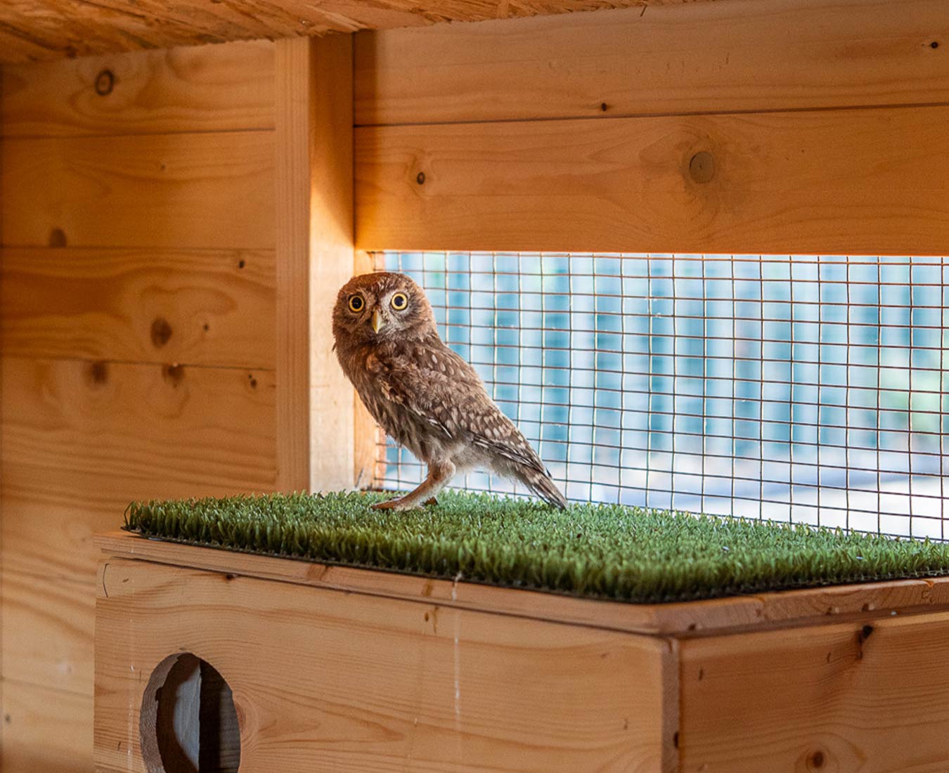 Sustainability environment initiative | Tatoi Club