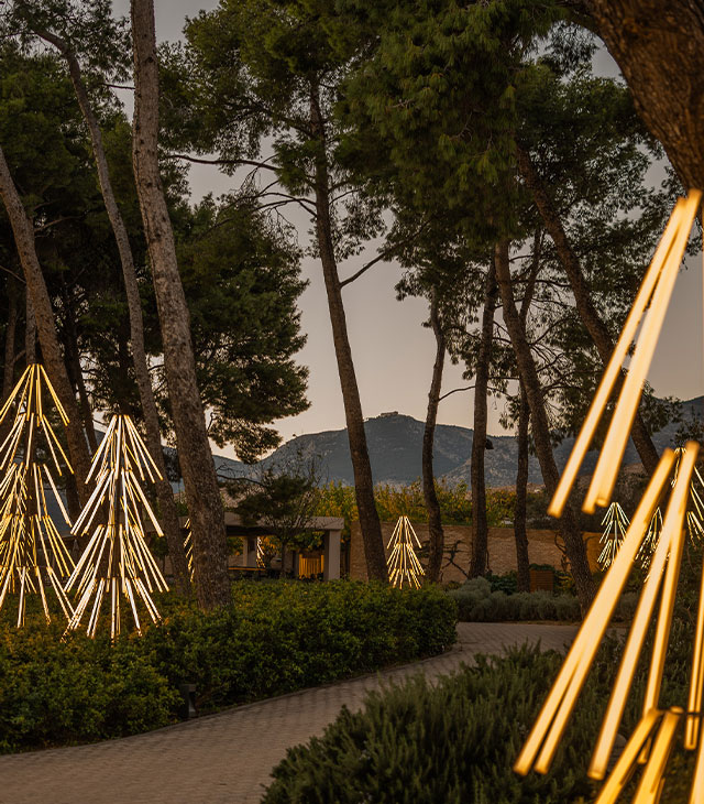 Electric Christmas decoration | Tatoi Club